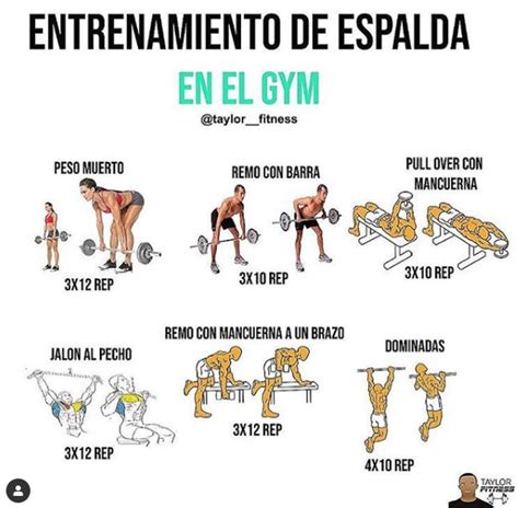 espalda trabajada mujer|5 ejercicios de espalda para mujeres en el gym